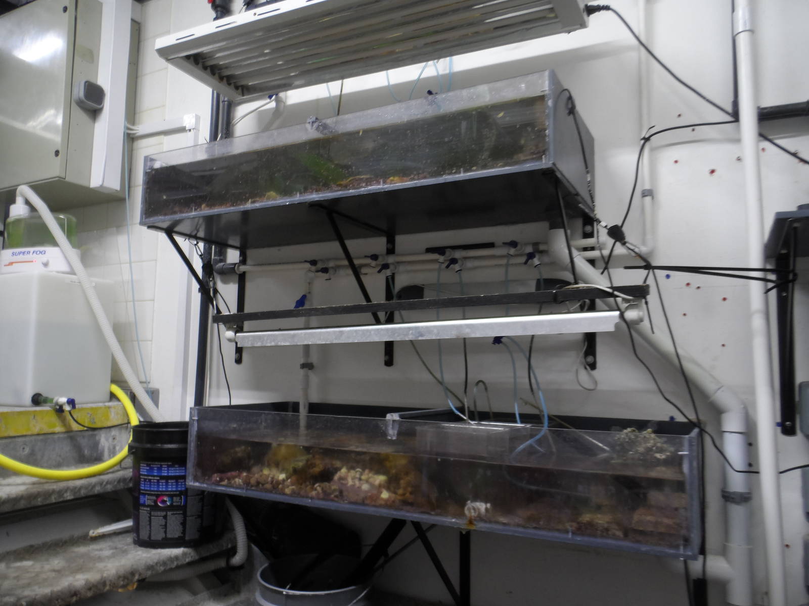 Behind-the-Scenes (Project Coral)