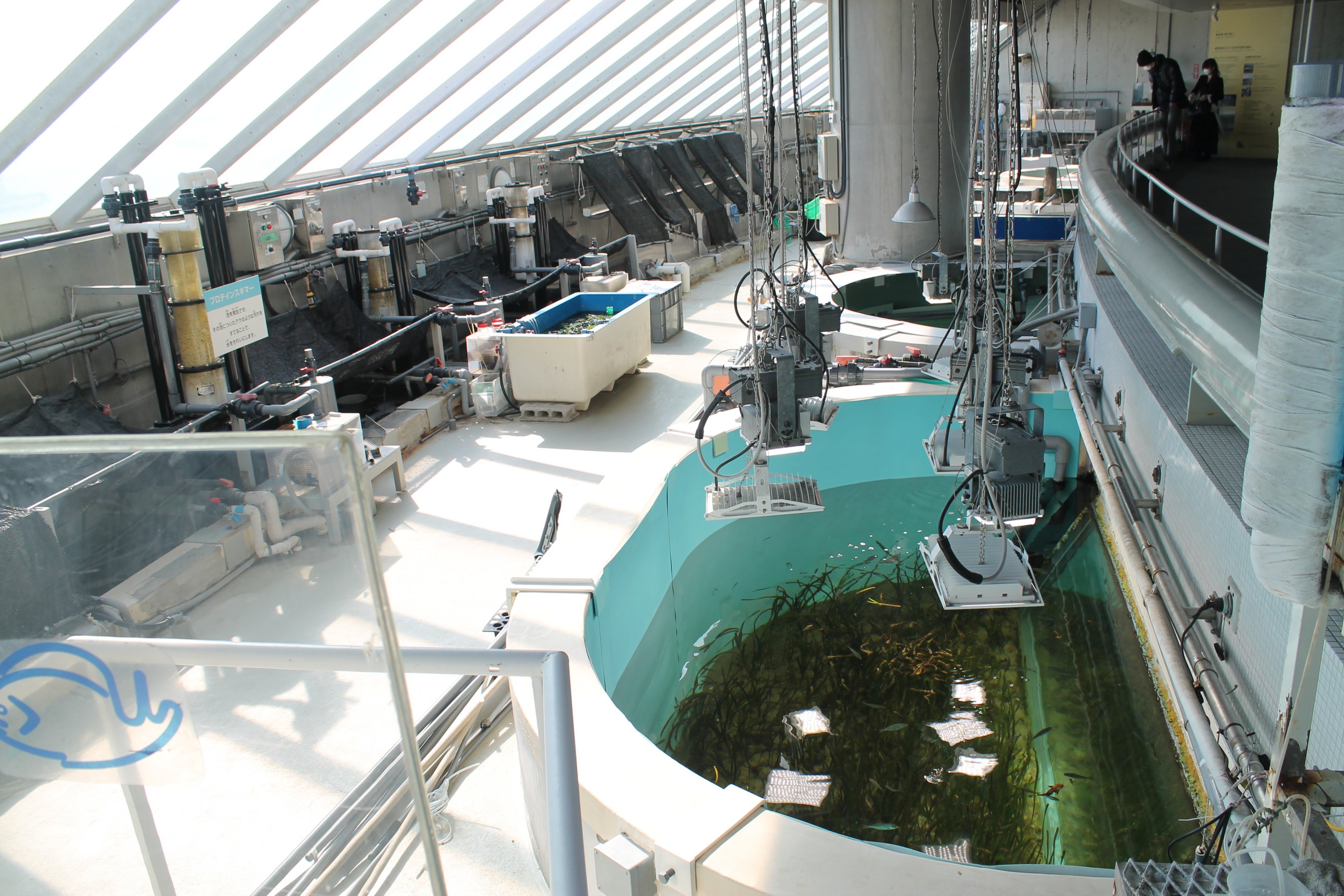 "Behind-the-scenes" public view