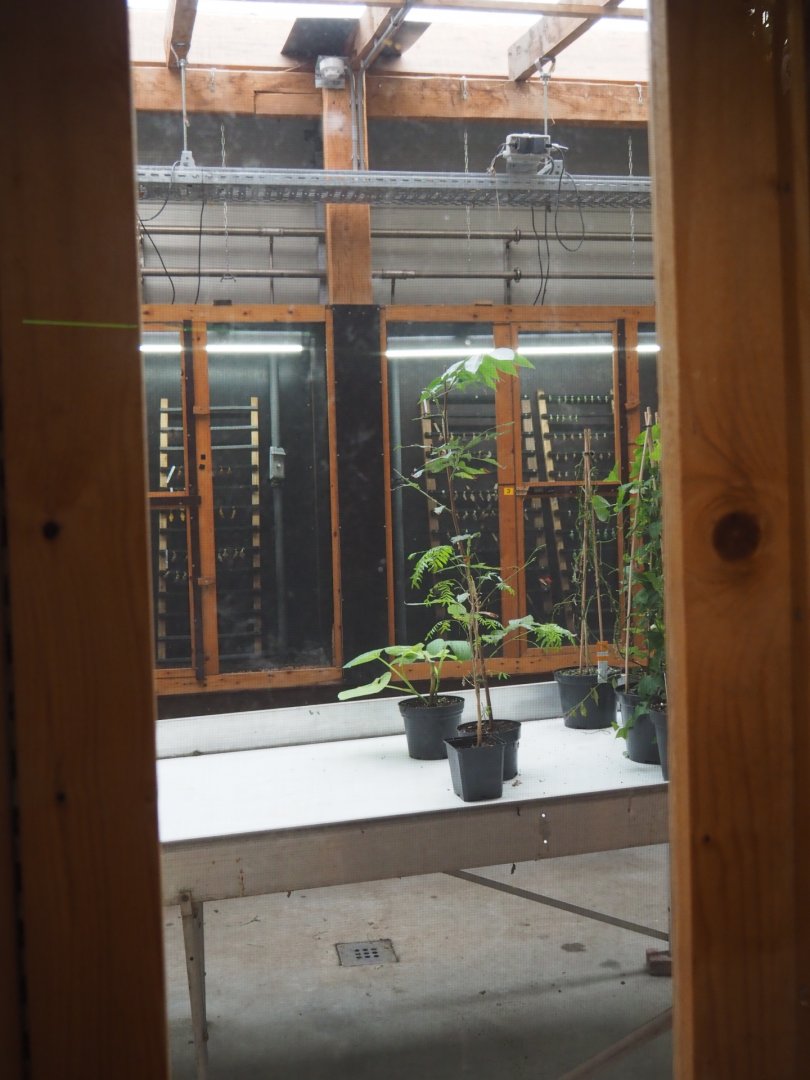 Behind-the-scenes raising rooms (Nov 10th, 2018)