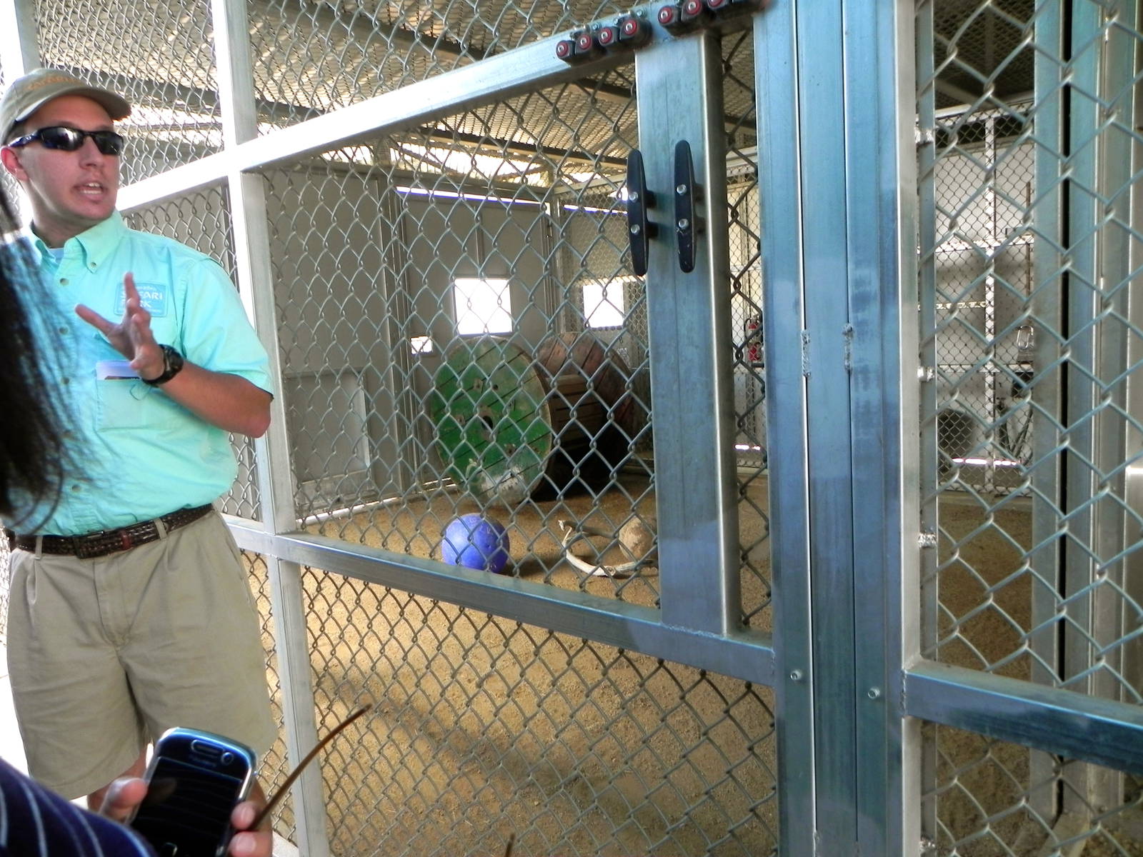 Behind the Scenes Safari Cats and Critters