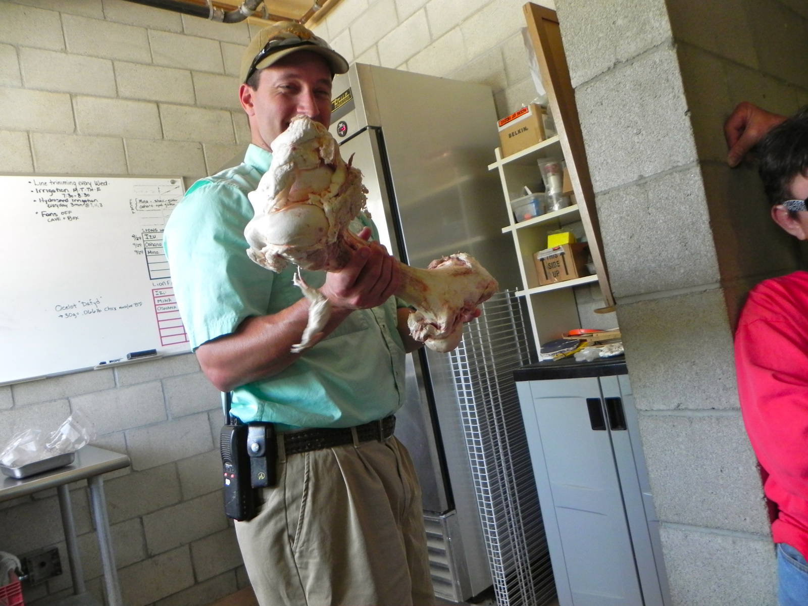 Behind the Scenes Safari Cats and Critters