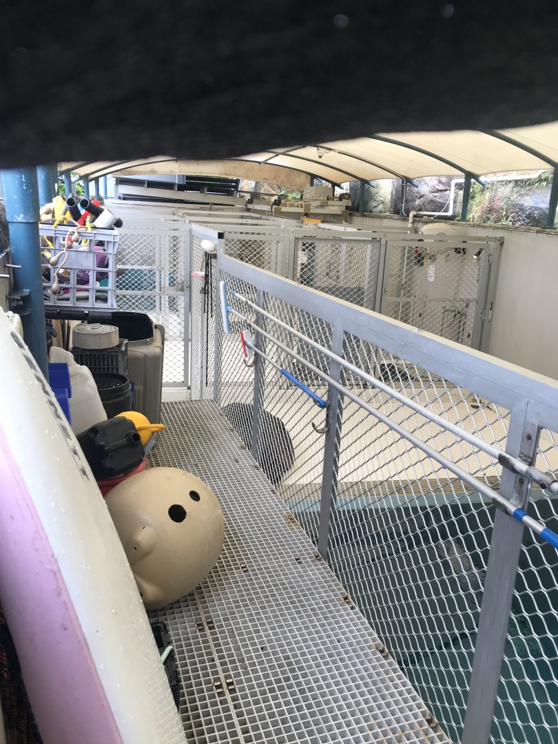 Behind the scenes Sea Lion pools