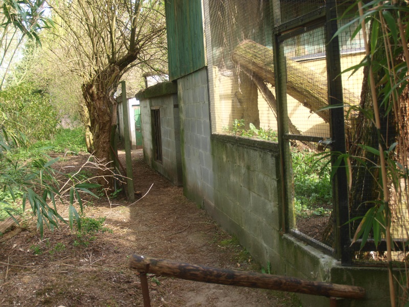 Behind the scenes service road (April 19th, 2015)