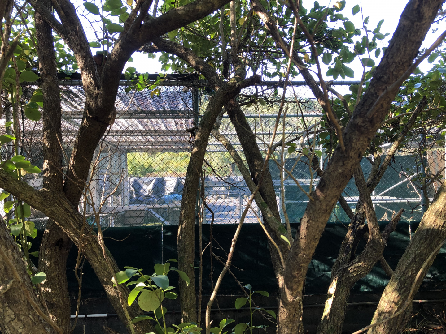 Behind the scenes, temporary holding cage and covered supplies