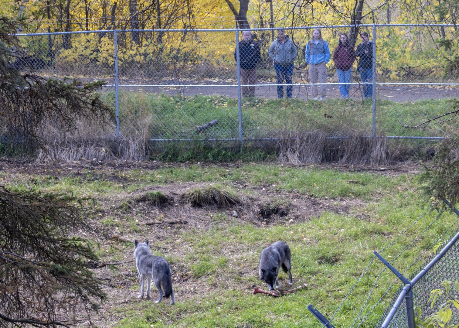 Behind the scenes tour