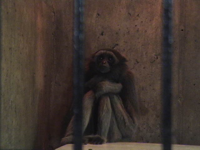 Behind the scenes...