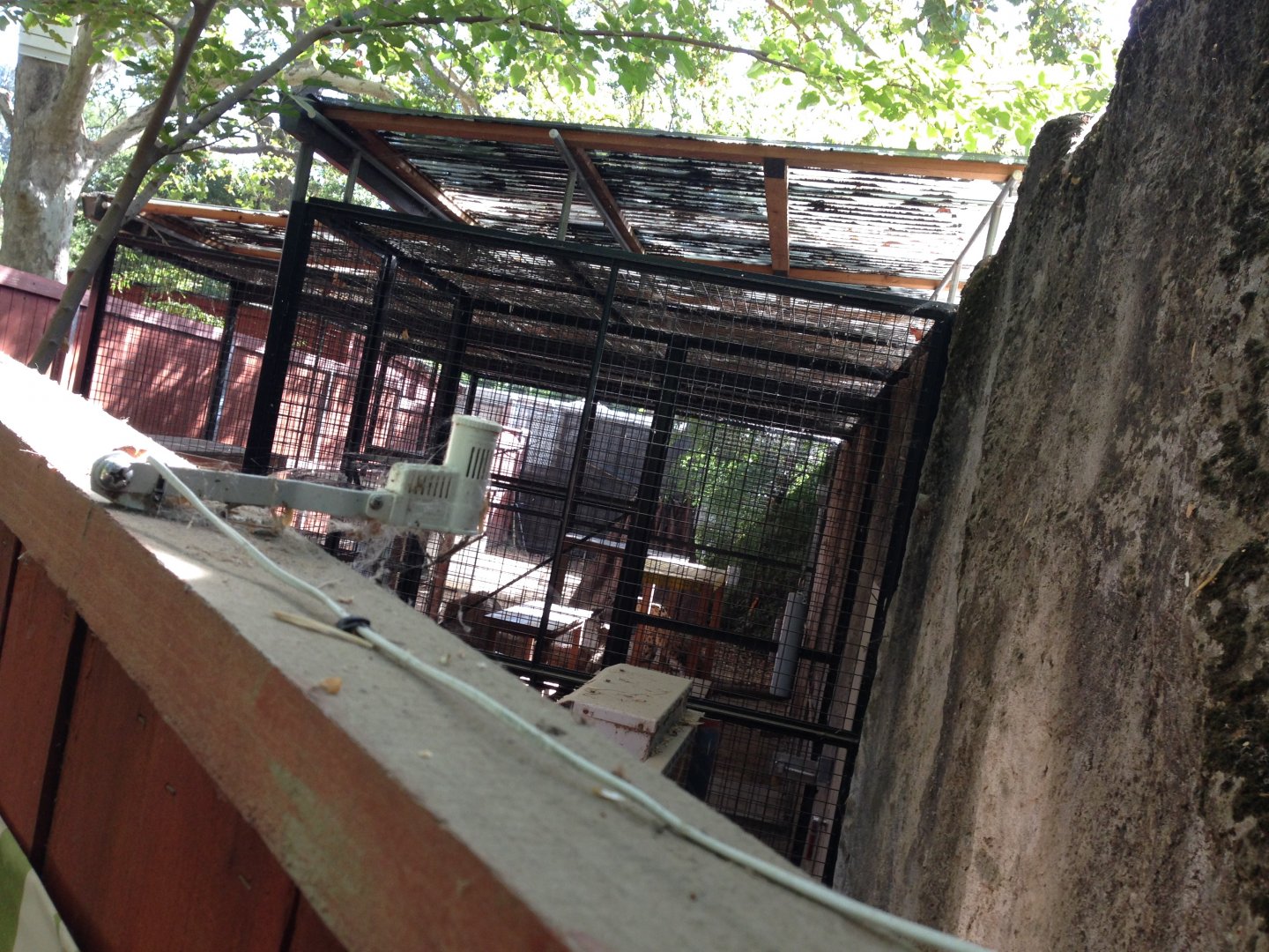 Behind the snow leopard exhibit