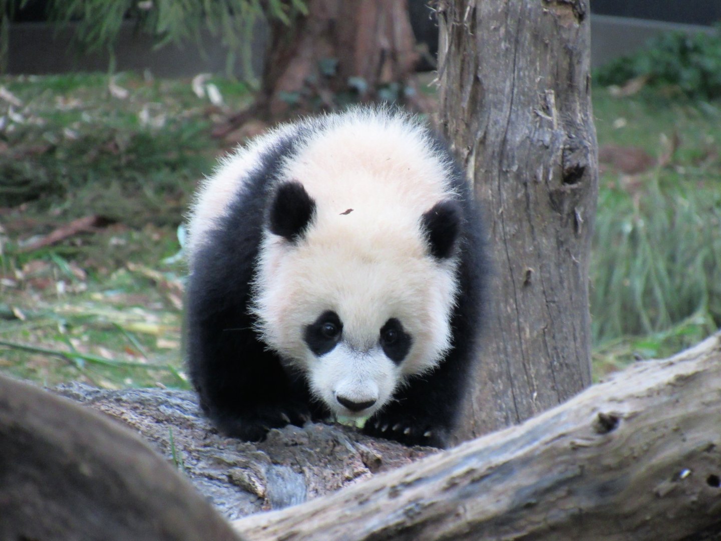 Bei Bei