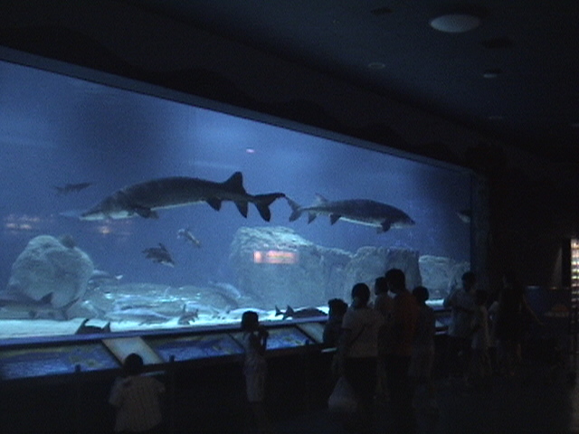 Beijing Aquarium