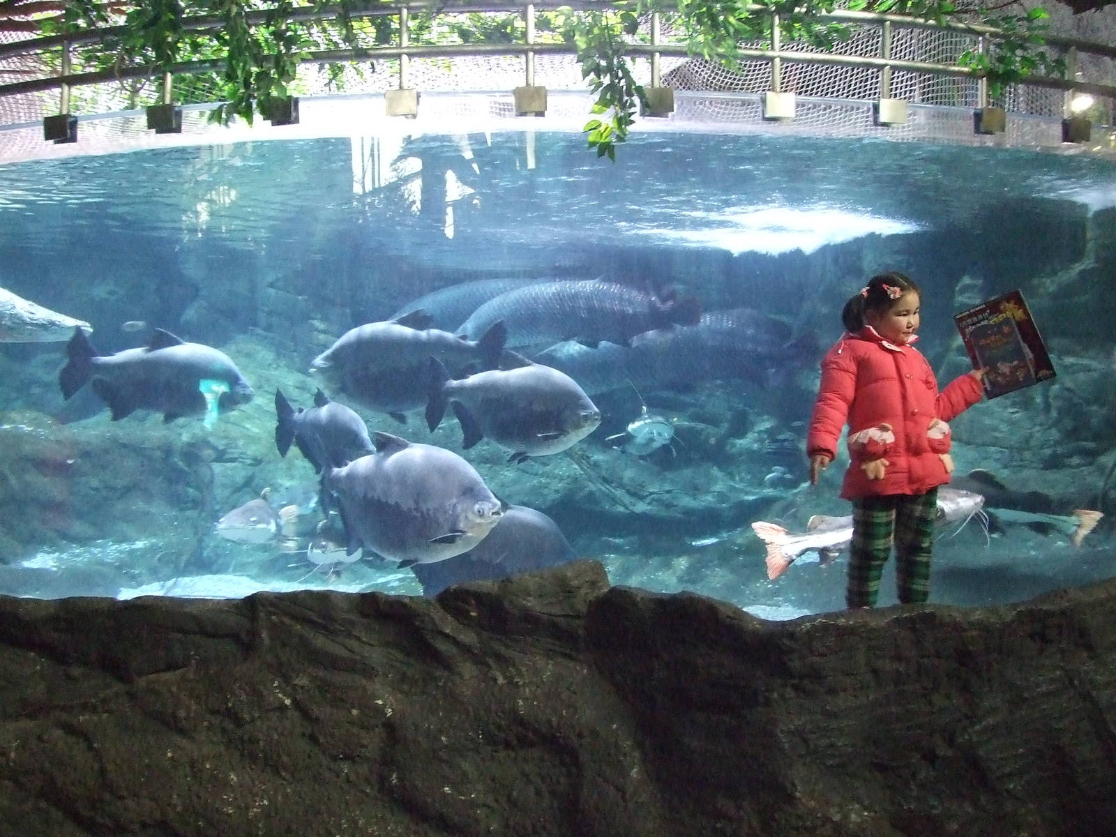 Beijing Aquarium