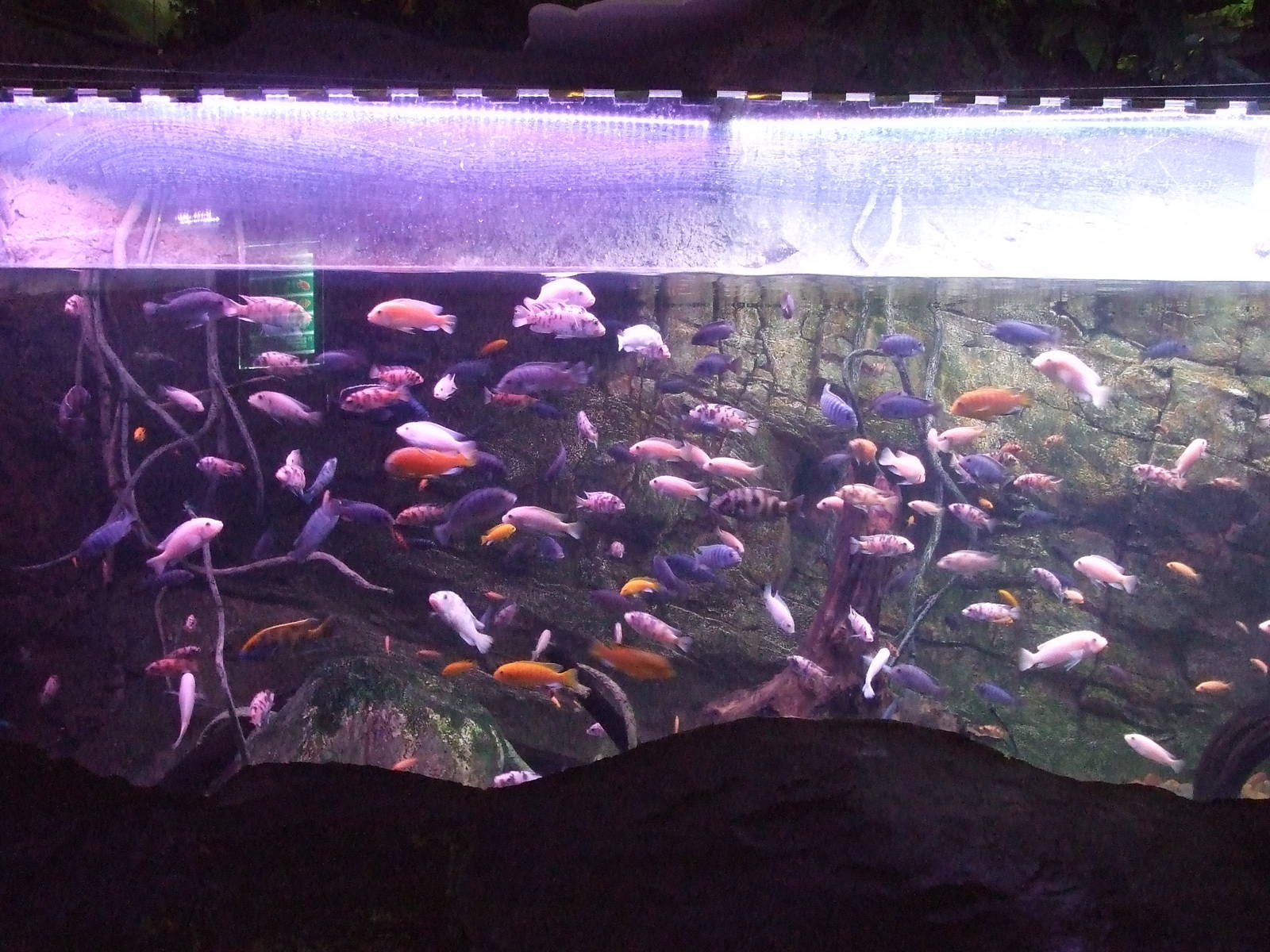 Beijing Aquarium