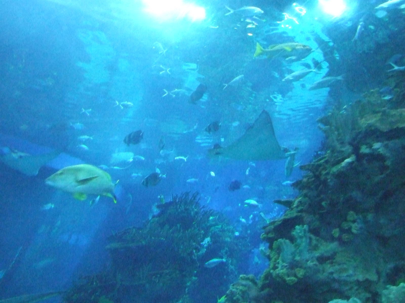 Beijing Aquarium