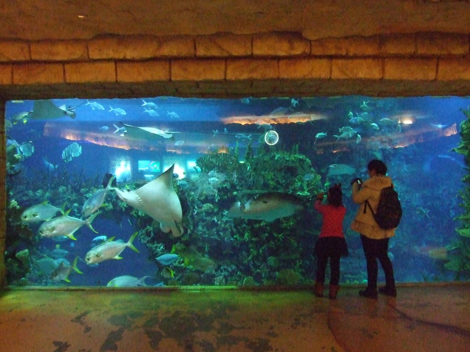 Beijing Aquarium