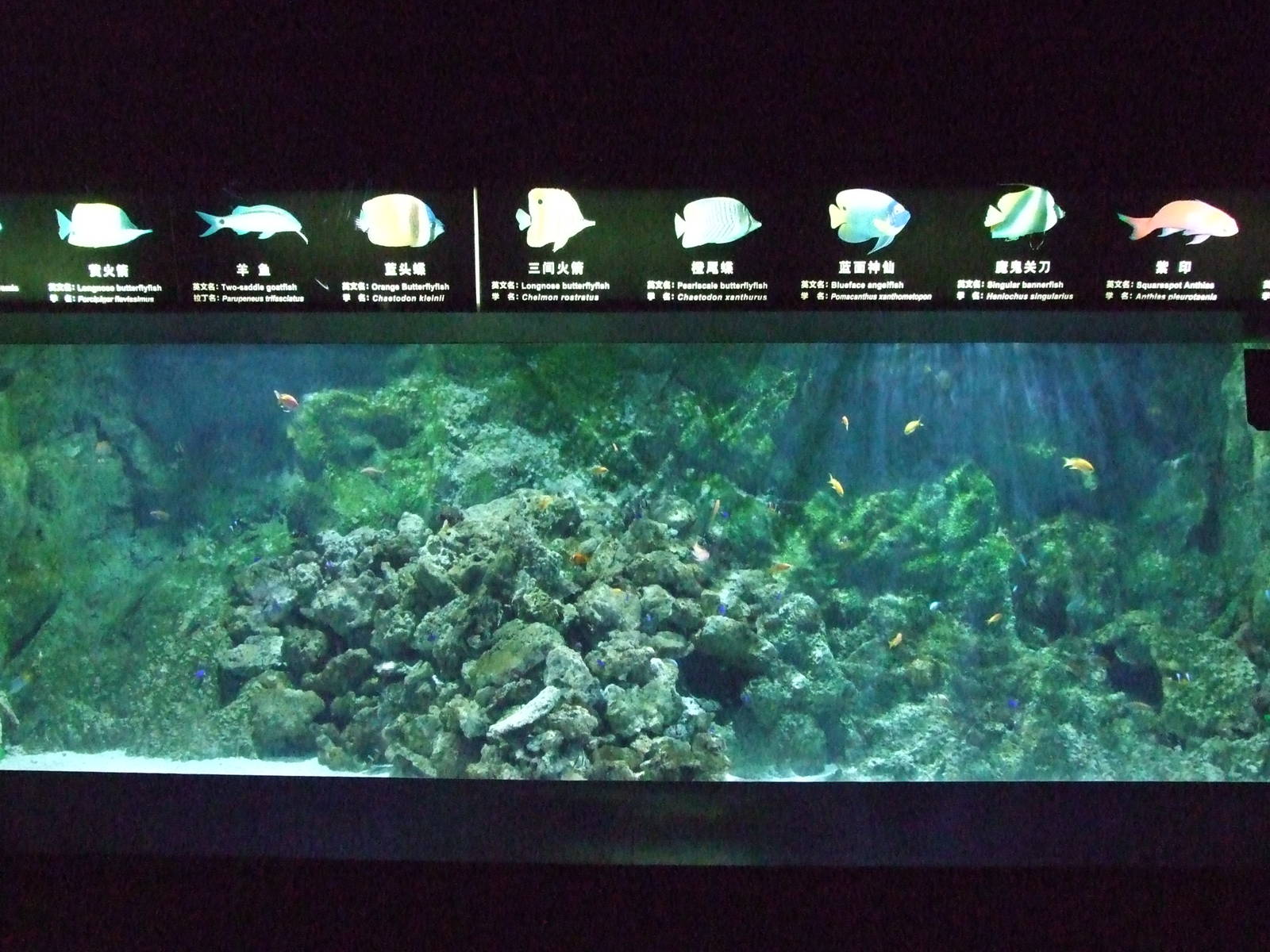 Beijing Aquarium