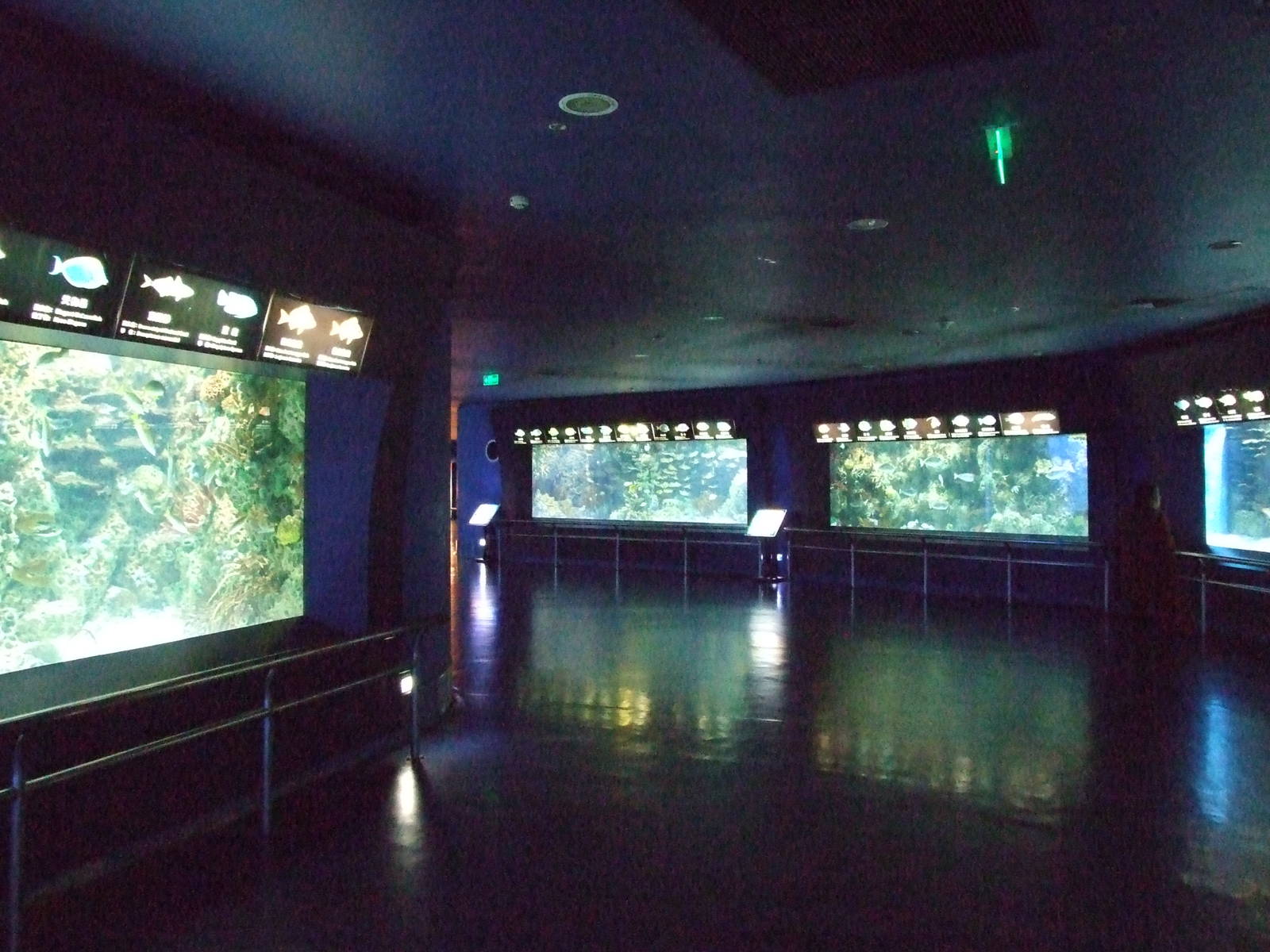 Beijing Aquarium
