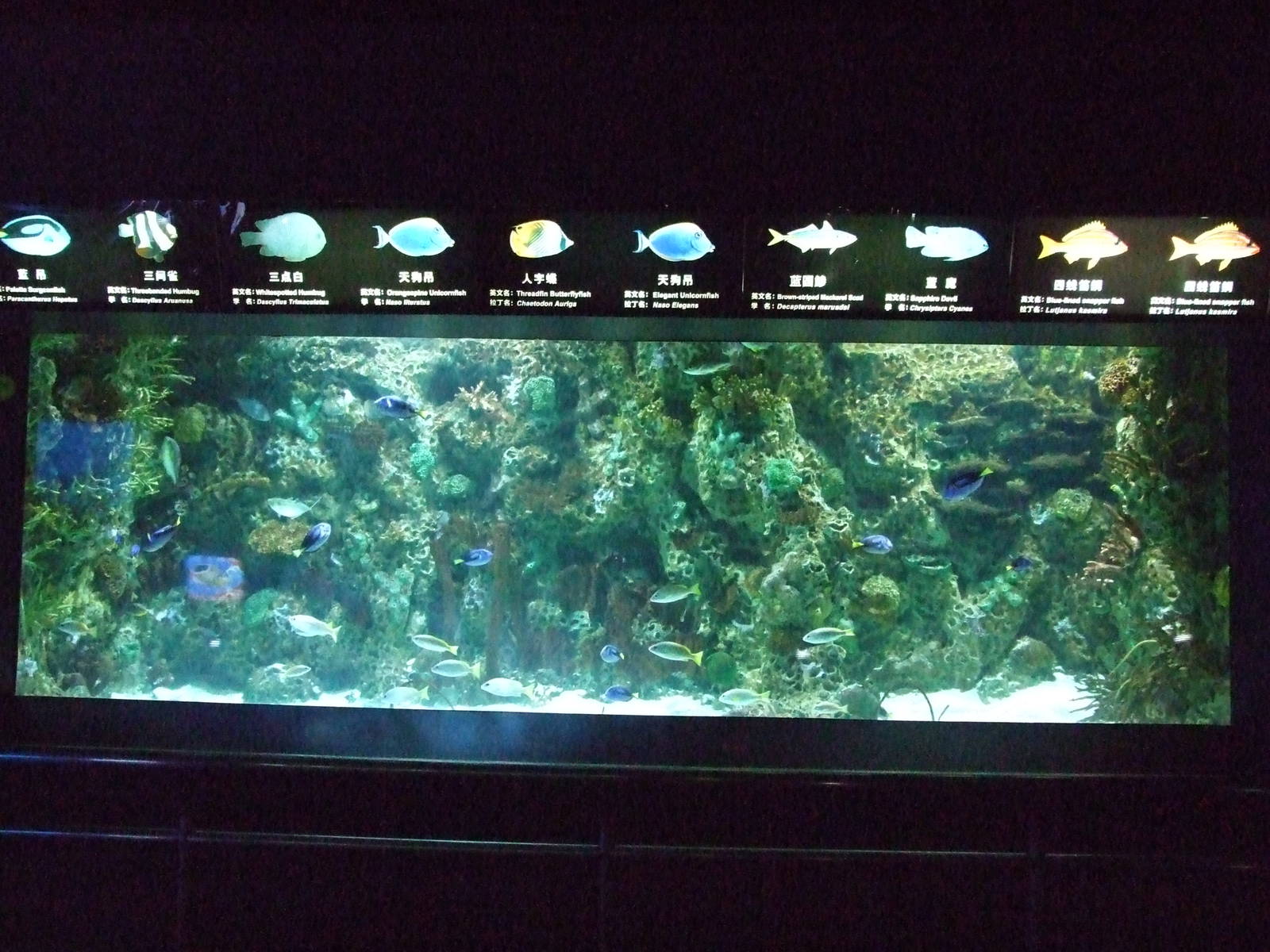 Beijing Aquarium