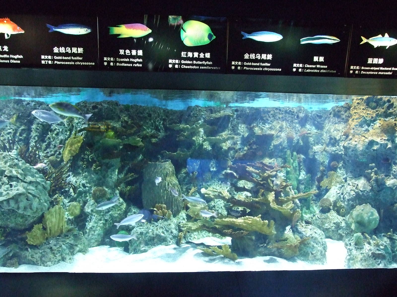 Beijing Aquarium