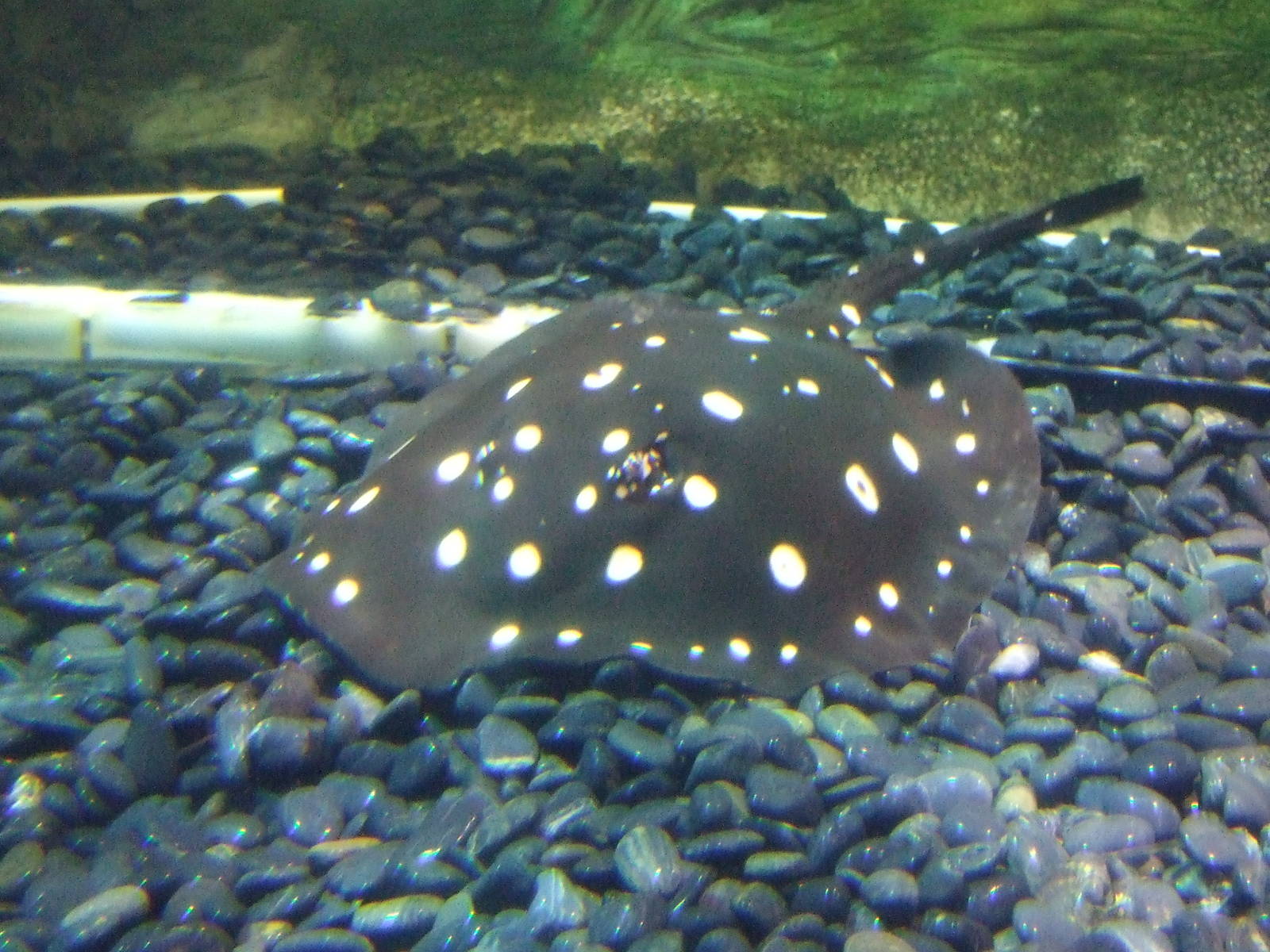 Beijing Aquarium