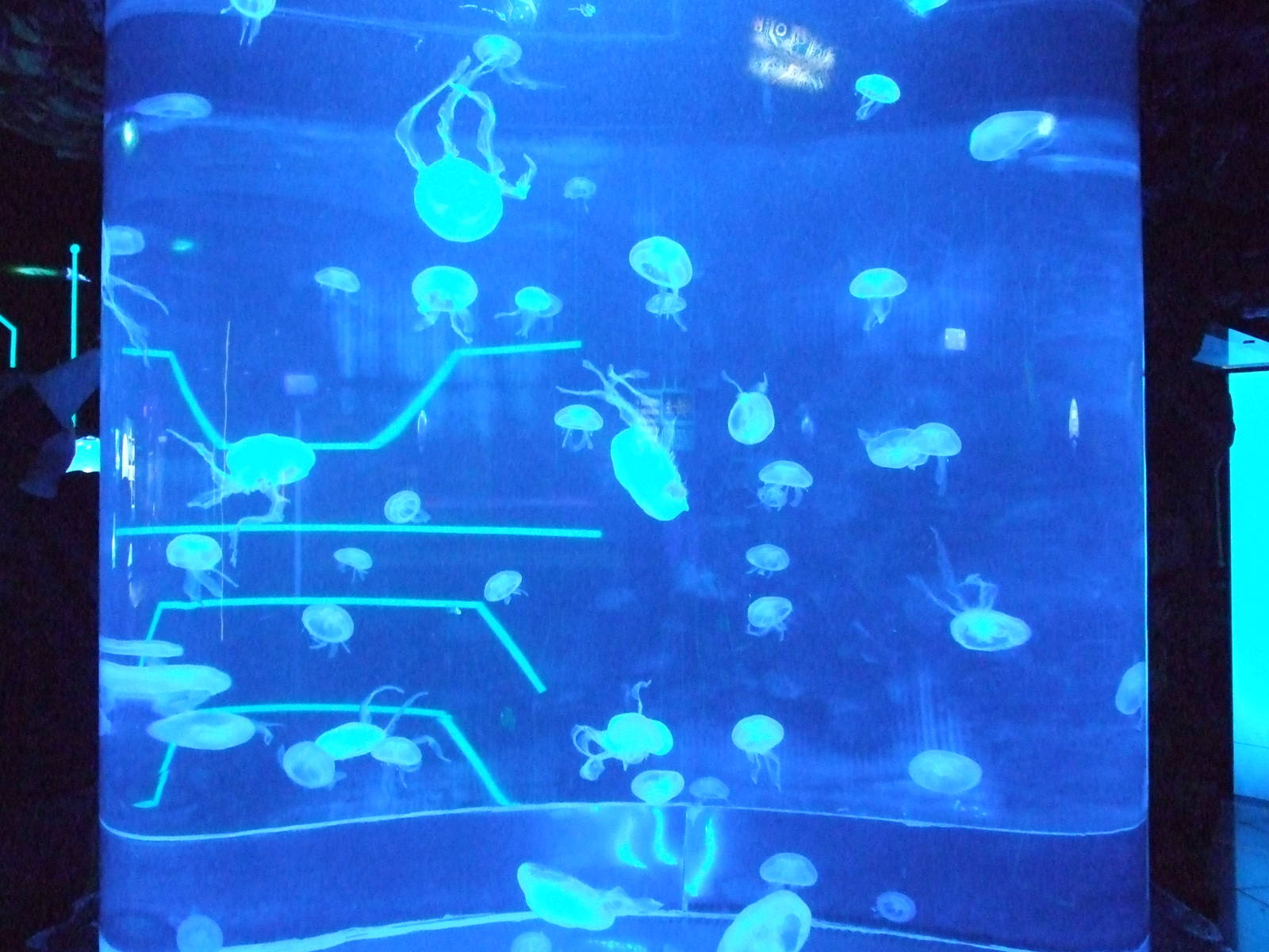 Beijing Aquarium