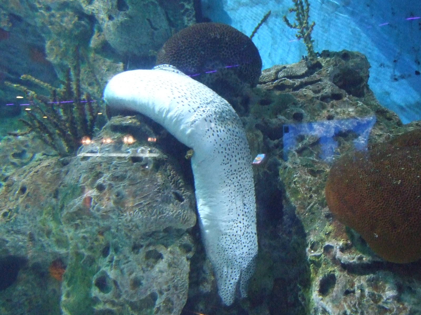 Beijing Aquarium