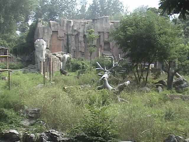 Beijing Zoo 2006
