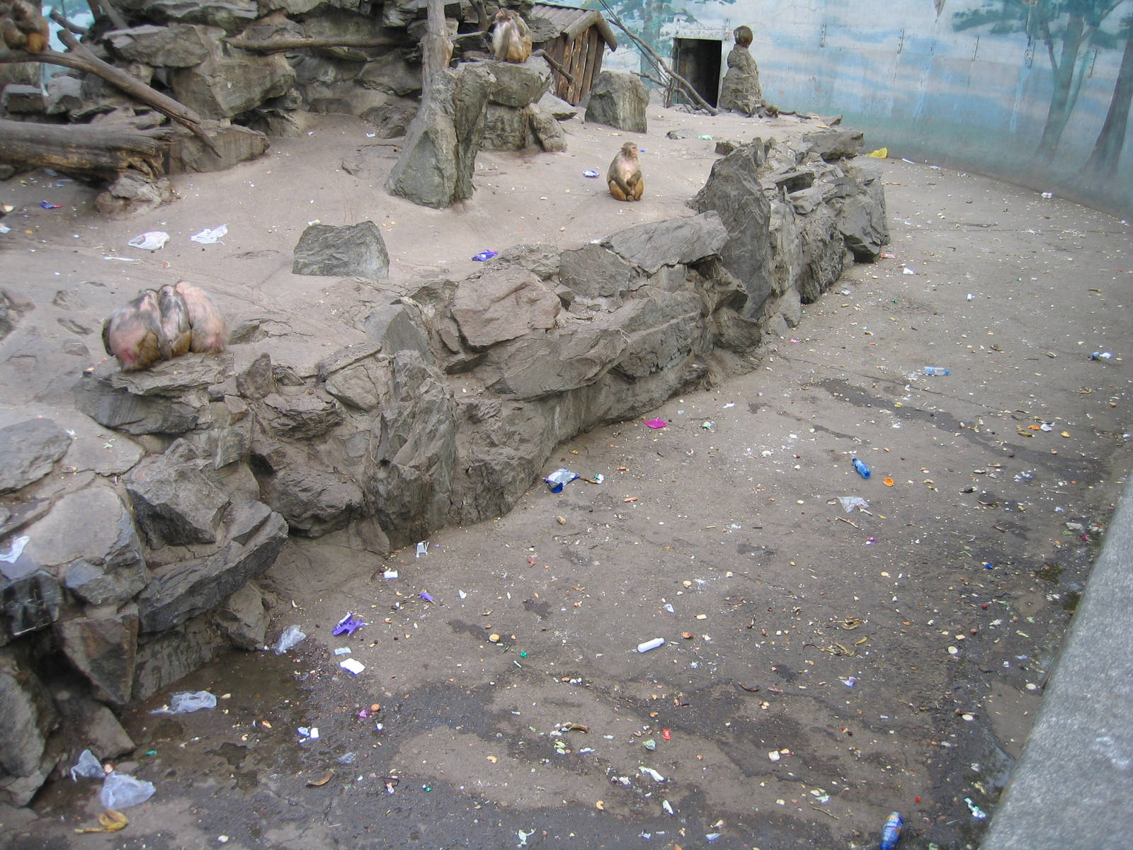 Beijing Zoo shocking enclosures with sick animals