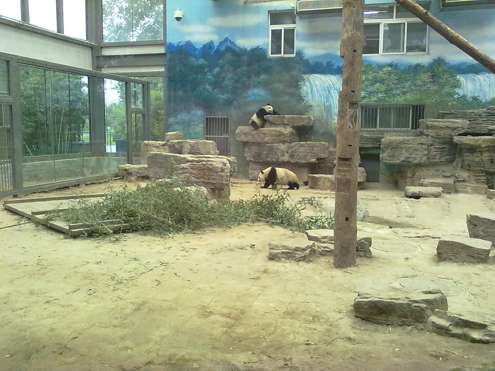 Beijing Zoo