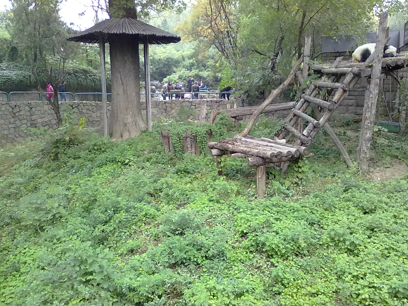 Beijing Zoo