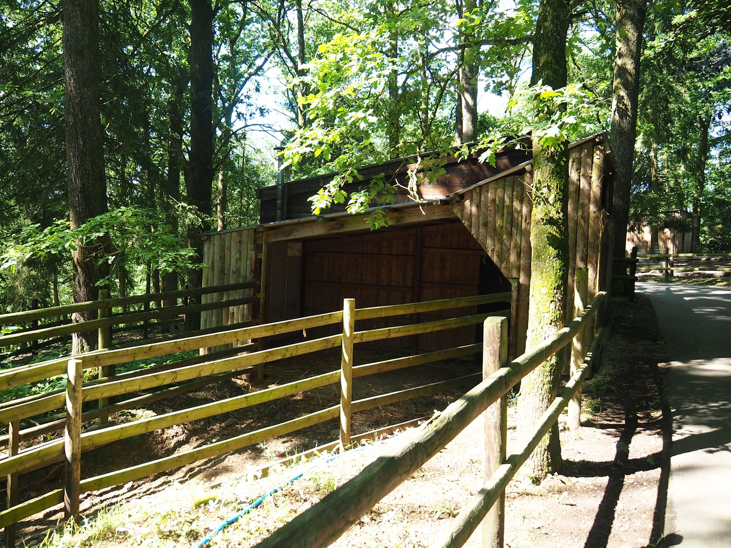 Beisa oryx barn and holding paddock, 2023-06-24