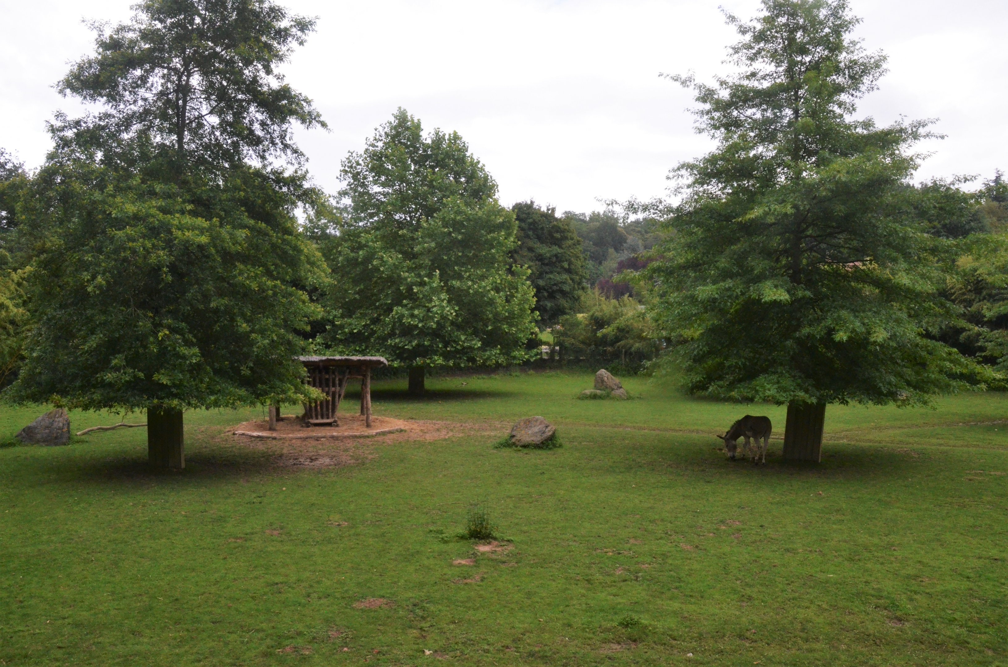 Beisa Oryx, Somali Wild Ass and Kafue Lechwe Enclosure at Beauval, 12/06/18