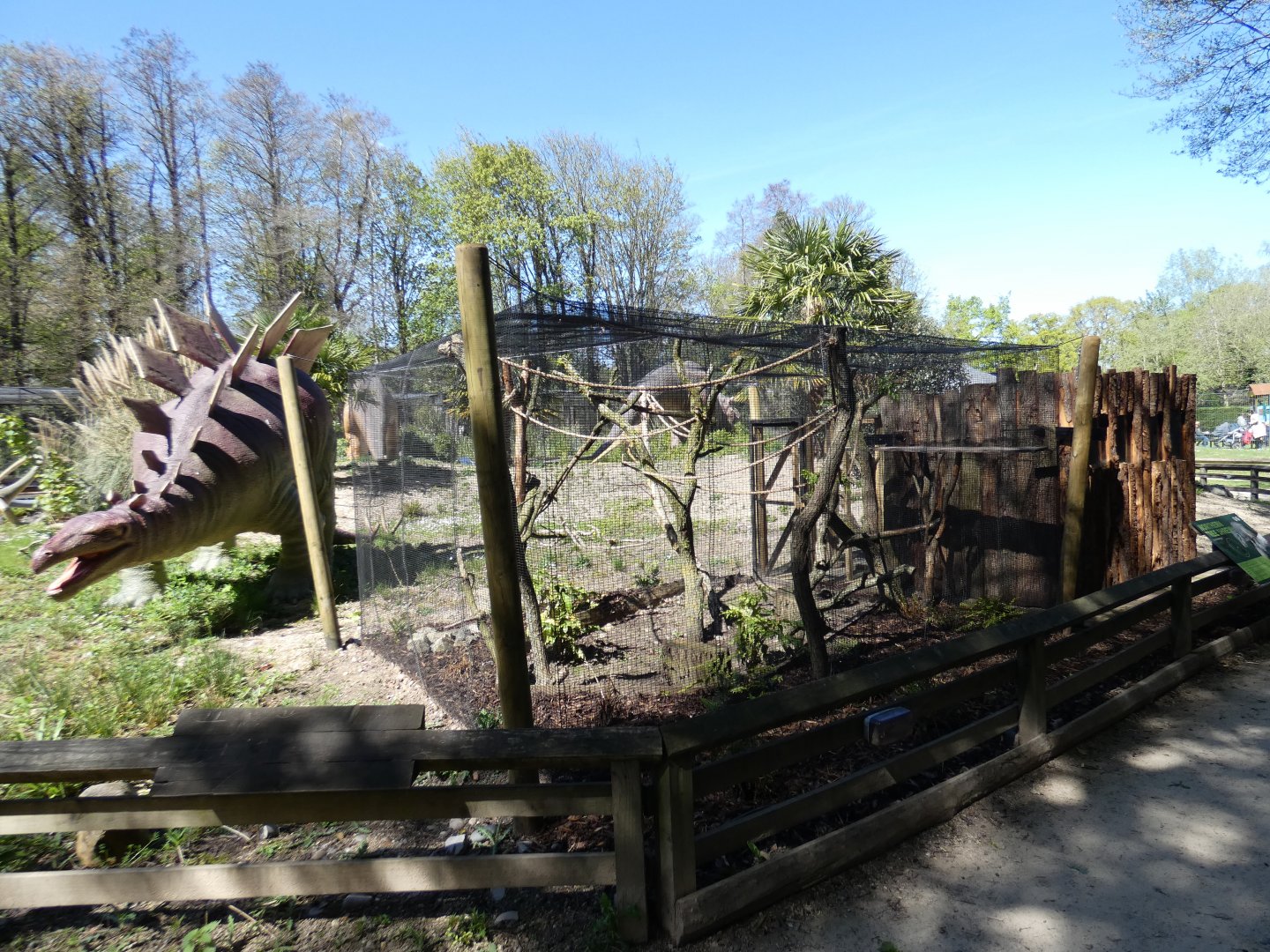 Belanger's tree shrew enclosure