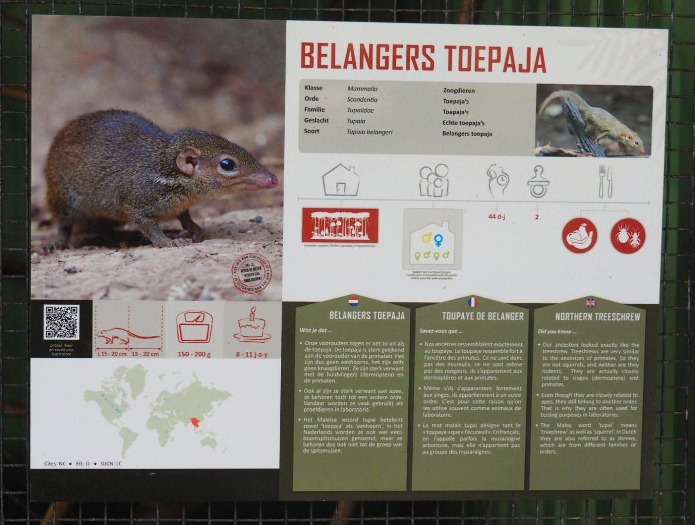 Belanger's treeshrew signage, 2019-08-04