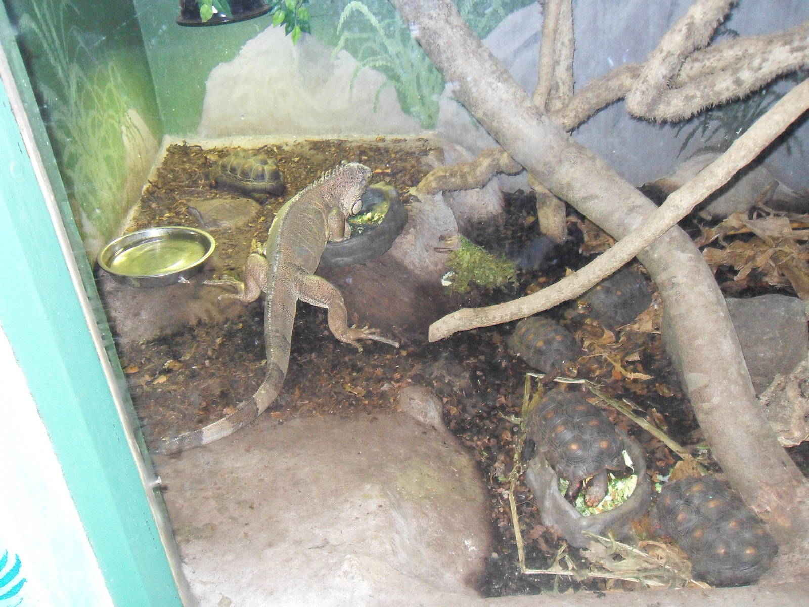 Belfast Visit 1st Sept