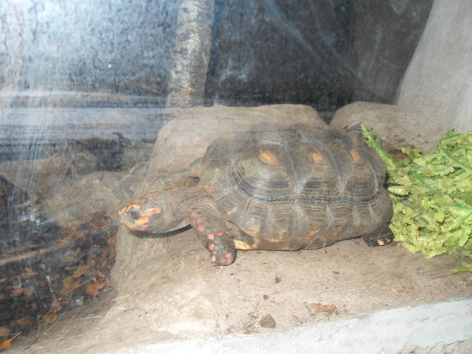 Belfast Visit 1st Sept