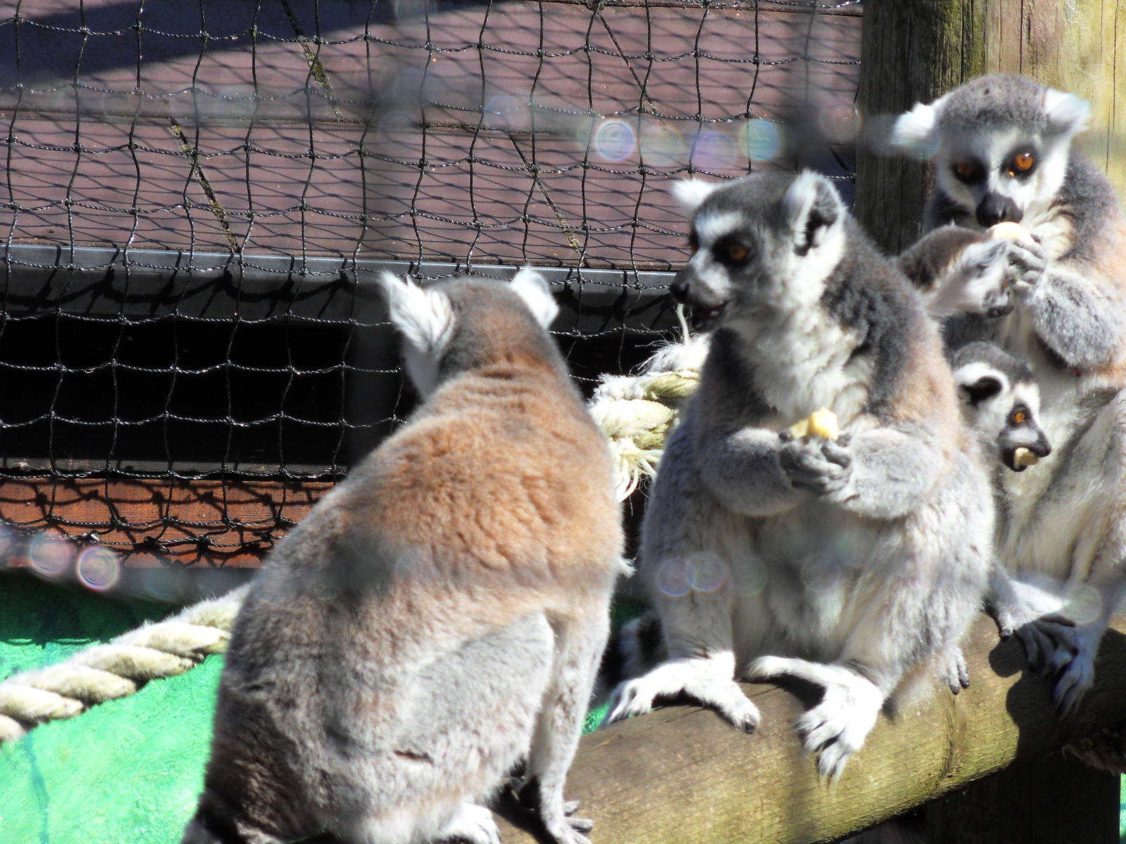 Belfast Visit 1st Sept