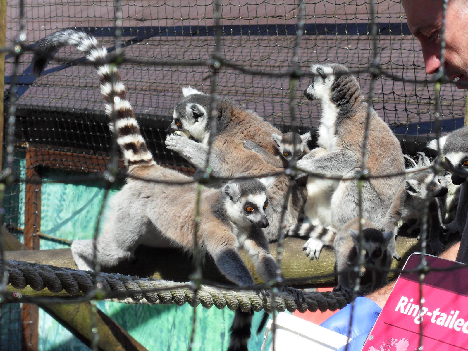 Belfast Visit 1st Sept