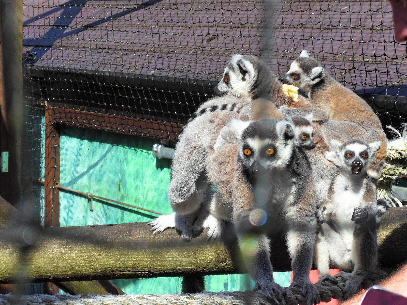 Belfast Visit 1st Sept