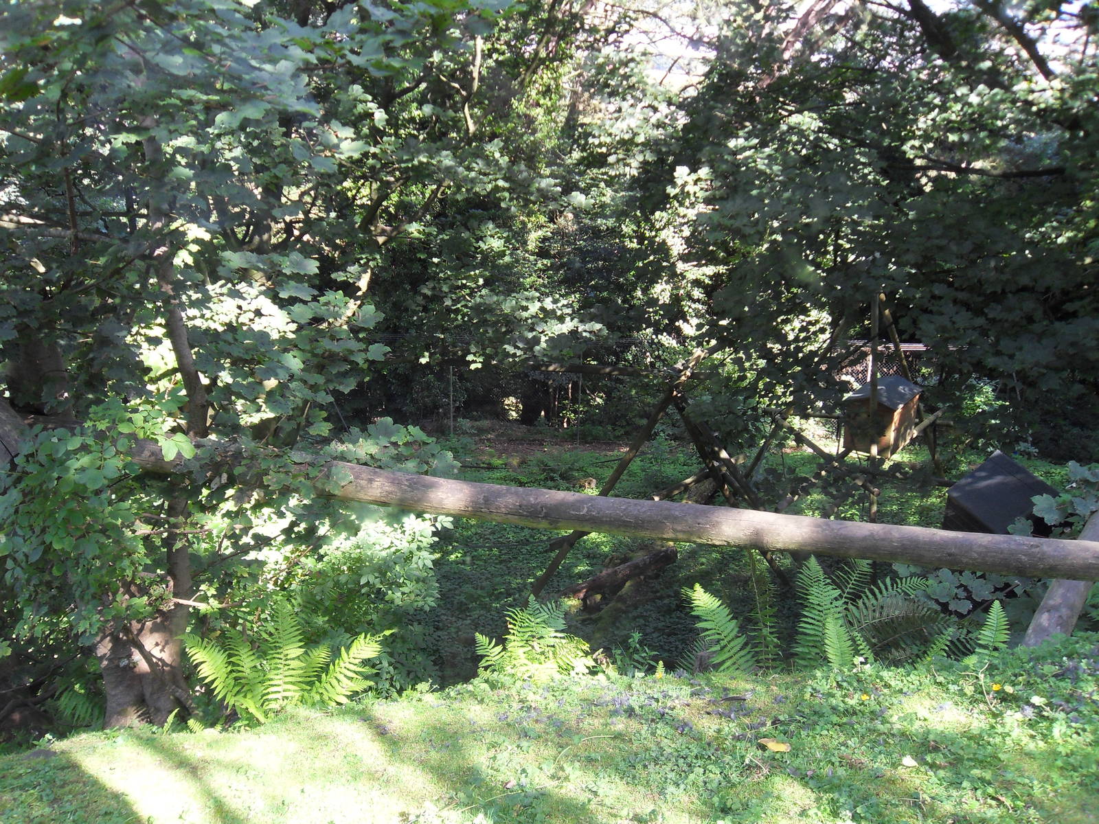 Belfast Visit 1st Sept