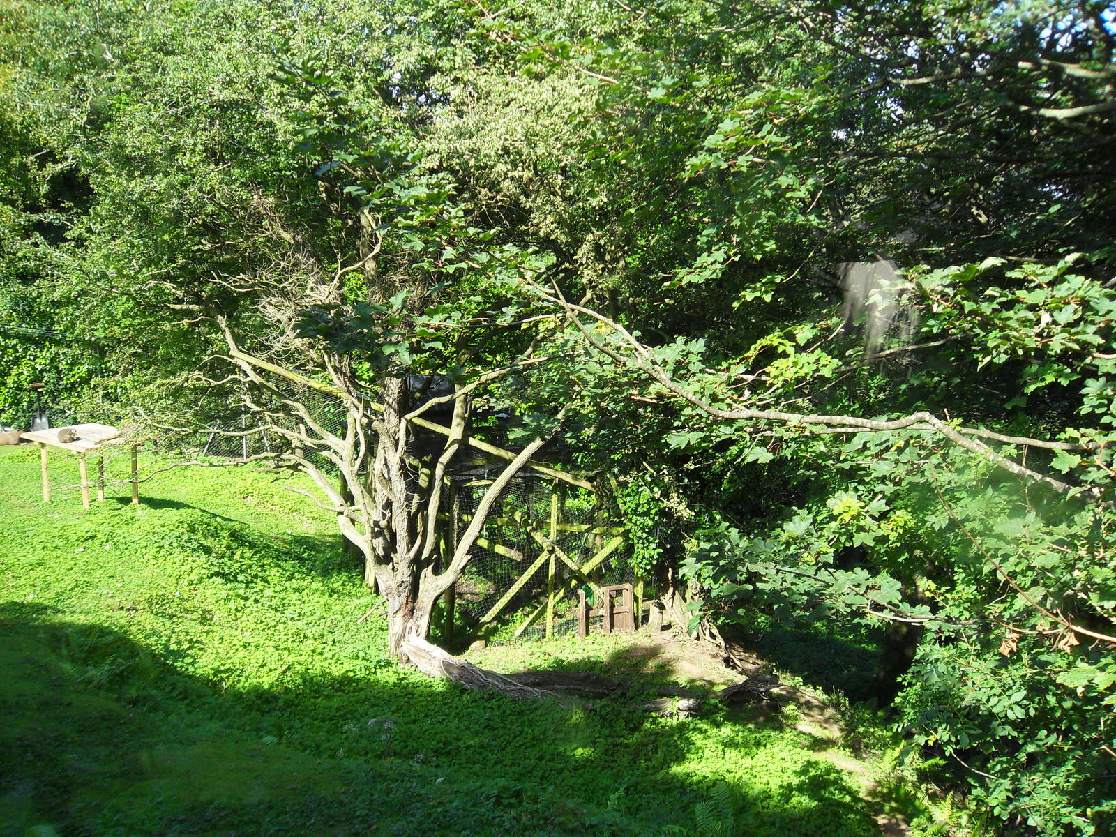 Belfast Visit 1st Sept