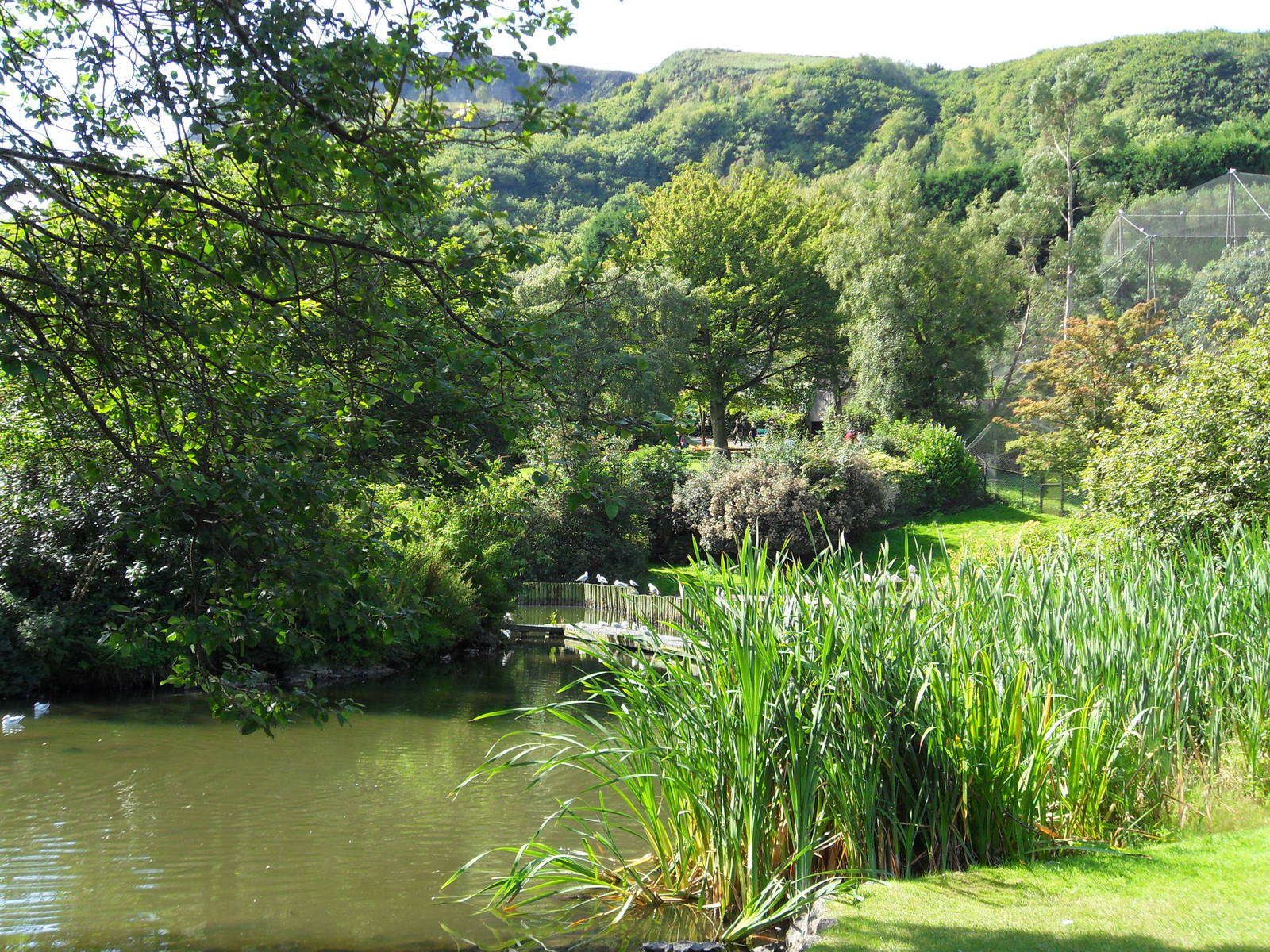 Belfast Visit 1st Sept