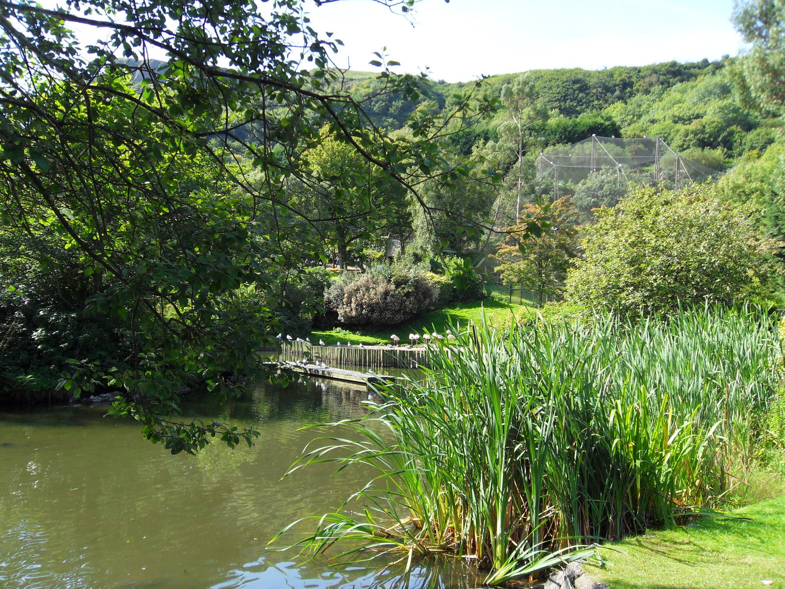 Belfast Visit 1st Sept