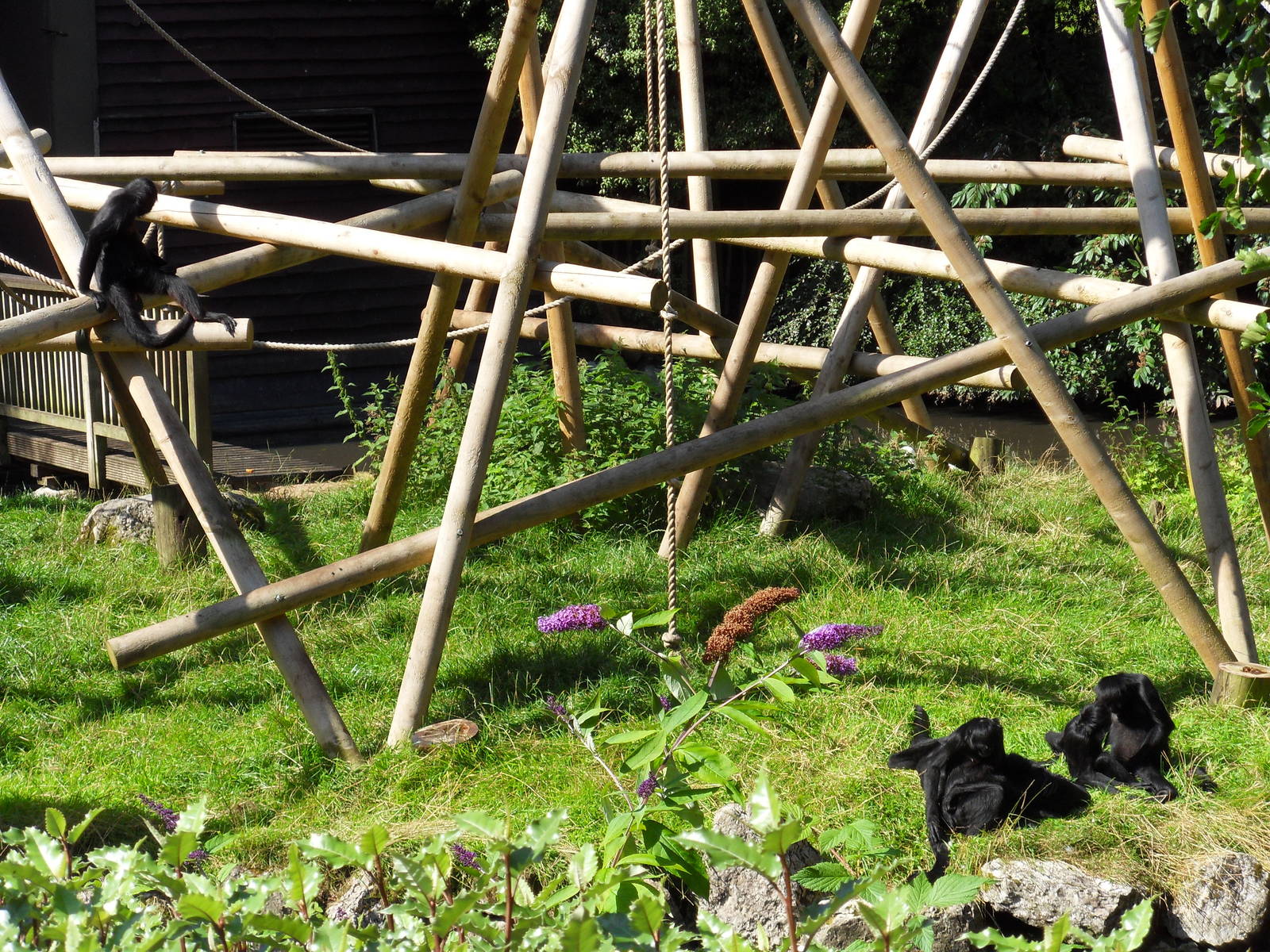 Belfast Visit 1st Sept