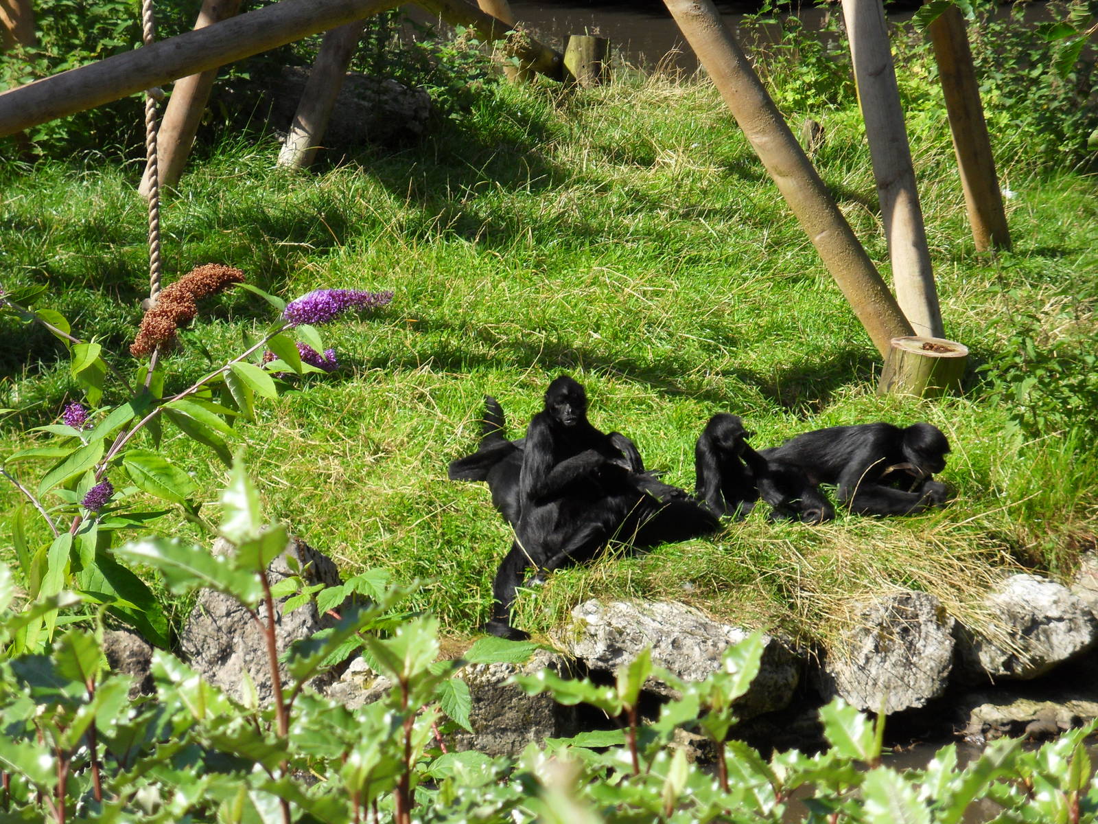 Belfast Visit 1st Sept