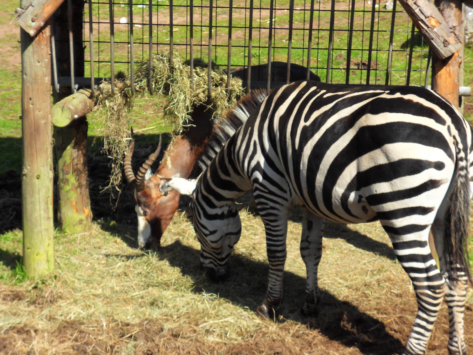 Belfast Visit 1st Sept