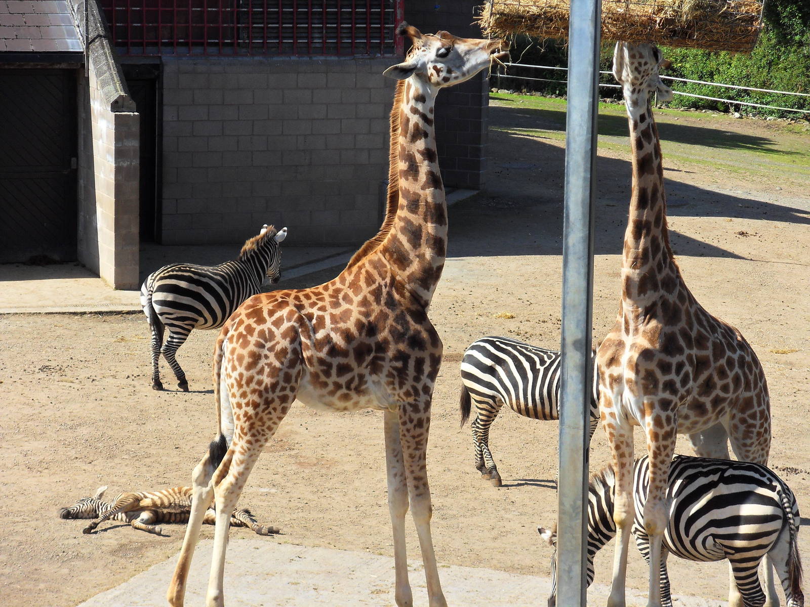 Belfast Visit 1st Sept