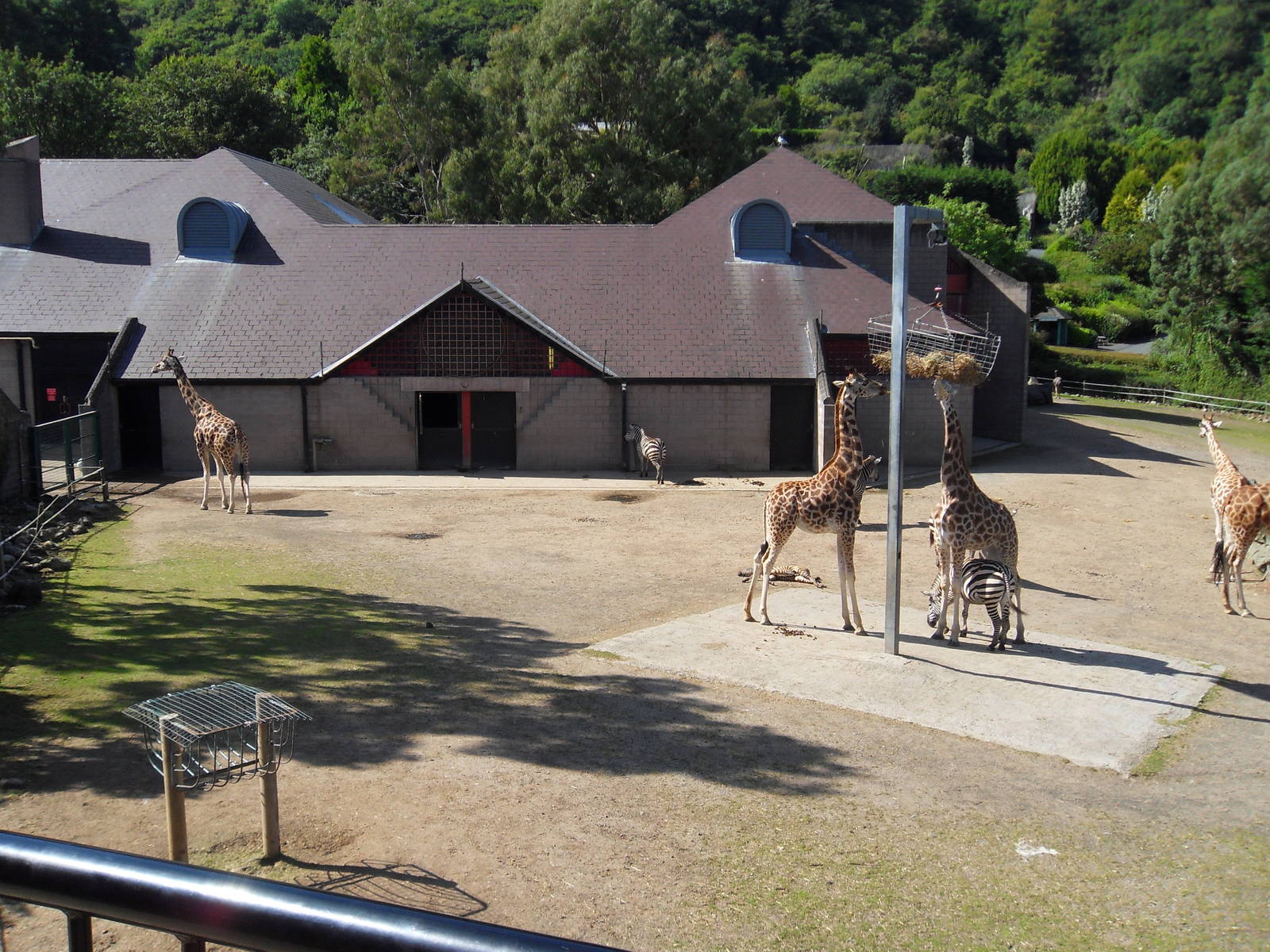 Belfast Visit 1st Sept