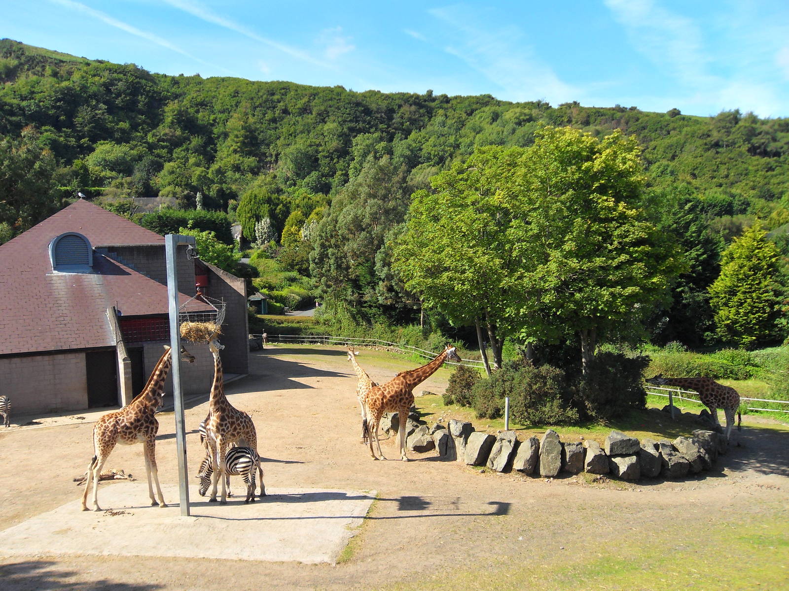 Belfast Visit 1st Sept