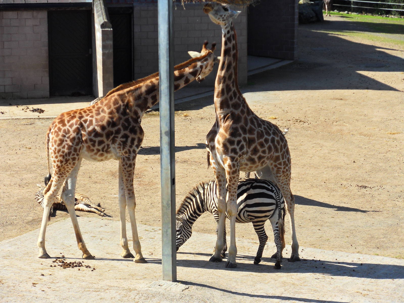 Belfast Visit 1st Sept