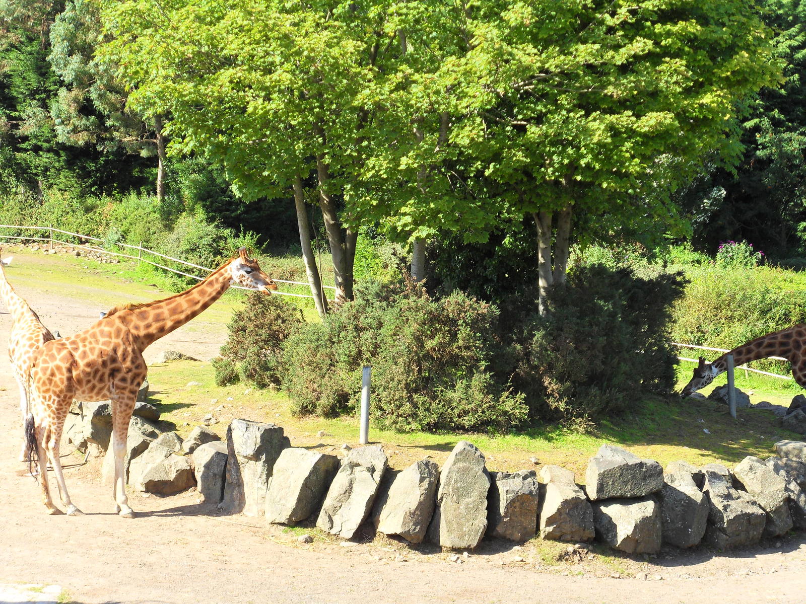 Belfast Visit 1st Sept