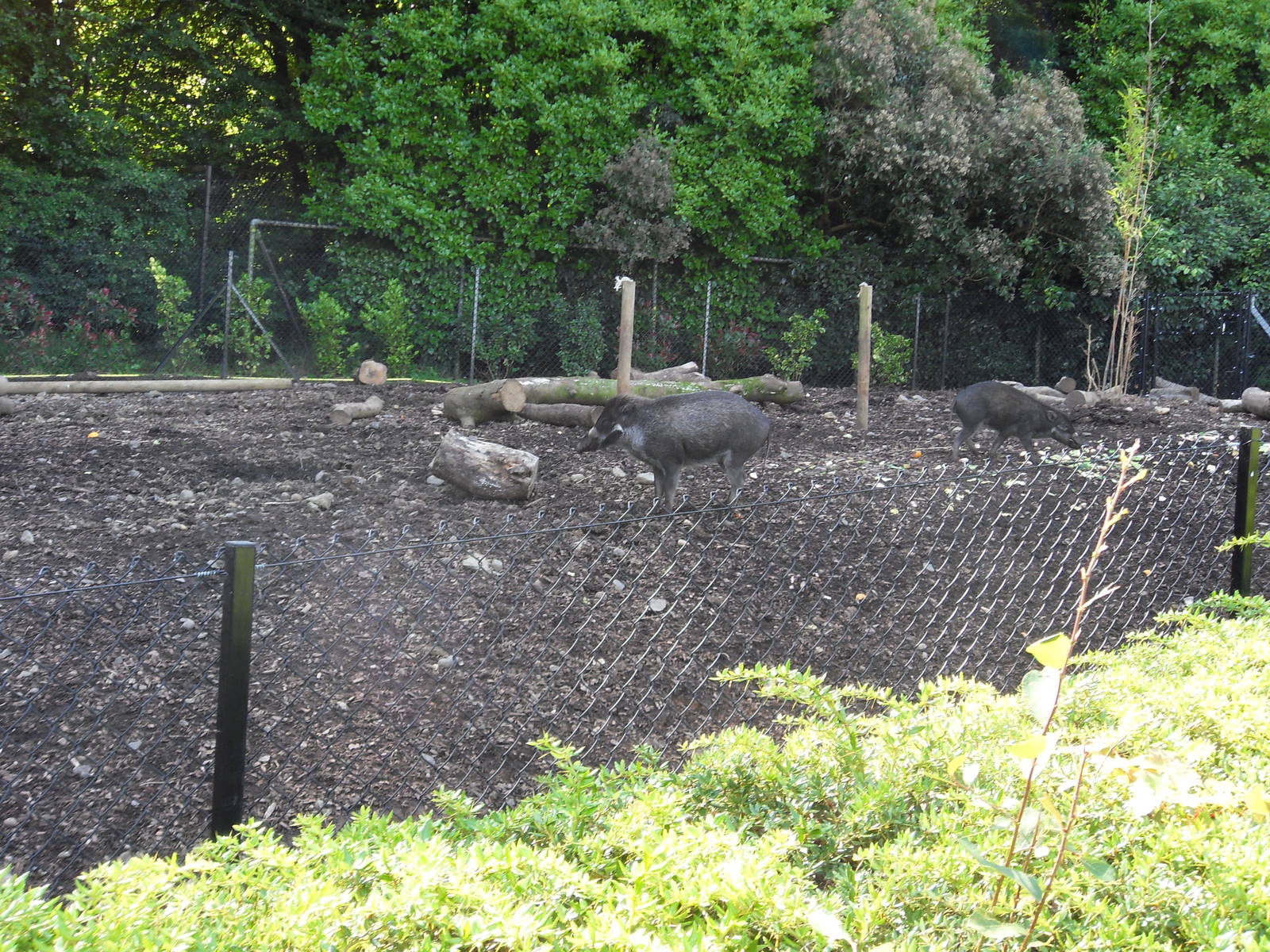 Belfast Visit 1st Sept